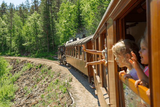 Die schönsten Bahnreisen in Norwegen: Ein unvergessliches Naturerlebnis auf Schienen