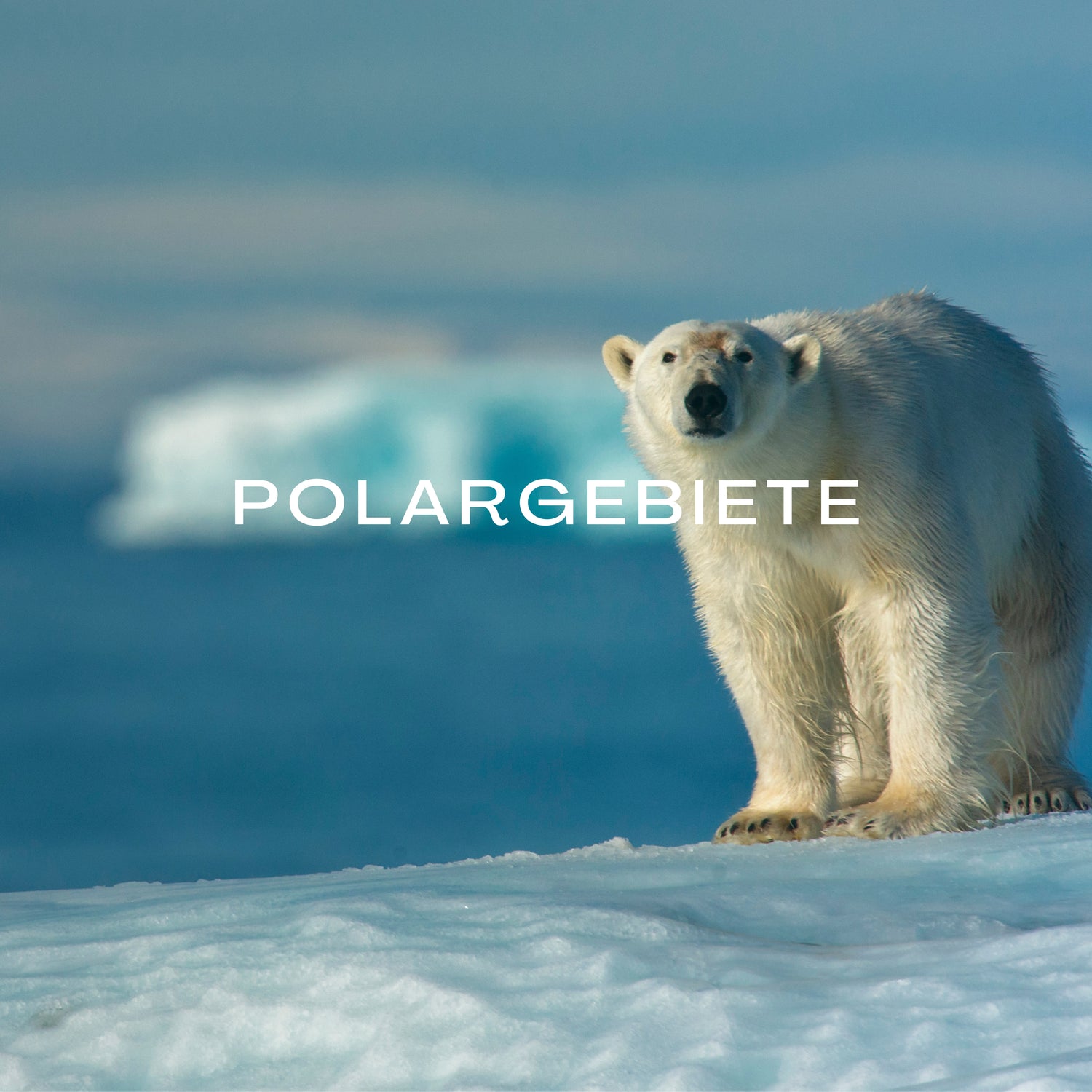 Polargebiete