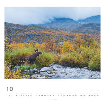 Schweden - Wandkalender 2027 -  Licht und Wasser - 46 x 48 cm - Kunstverlag Weingarten