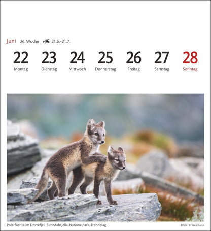 Norwegen - Sehnsuchts-Kalender 2026 - Harenberg