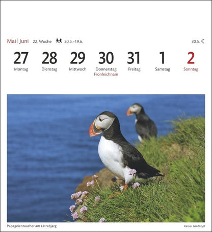 Island - Sehnsuchts-Kalender 2024 - Harenberg
