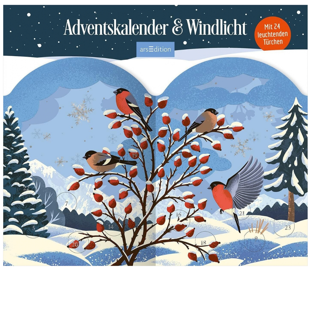 Adventskalender & Windlicht - Winterzauber für die Adventszeit