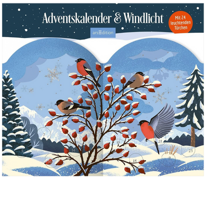Adventskalender & Windlicht - Winterzauber für die Adventszeit