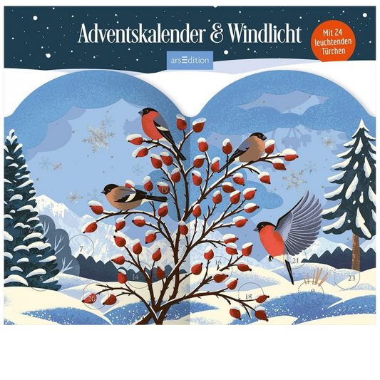 Adventskalender & Windlicht - Winterzauber für die Adventszeit