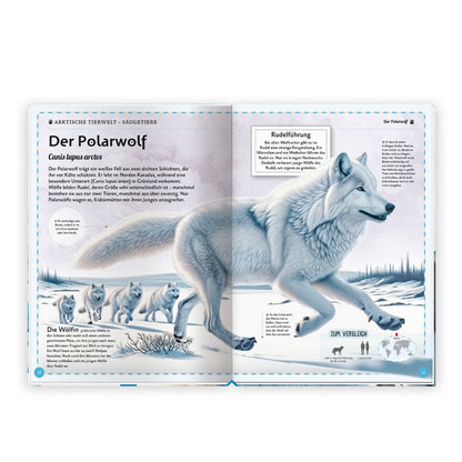 Das großartige Buch der Polartiere - Trötsch Verlag