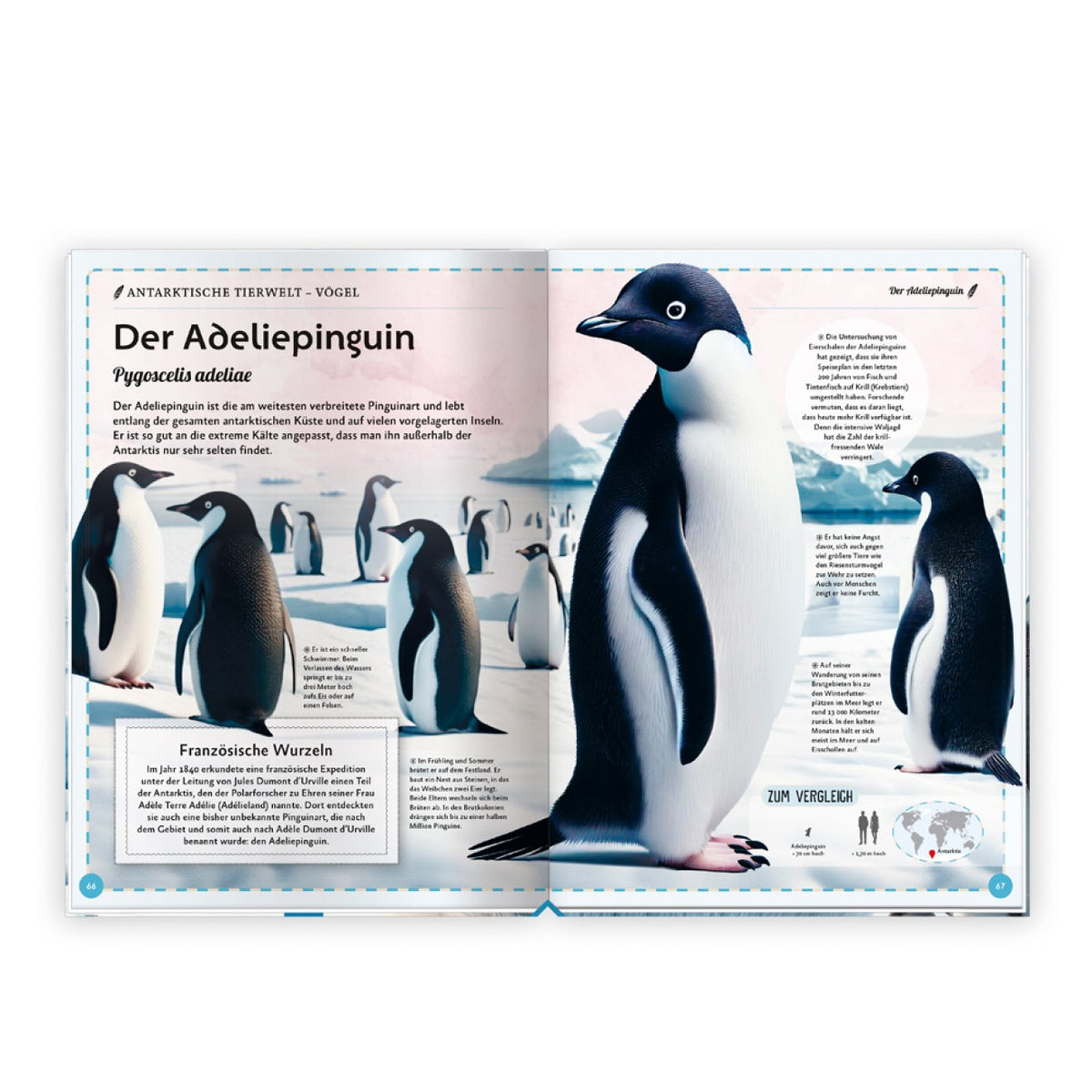 Das großartige Buch der Polartiere - Trötsch Verlag