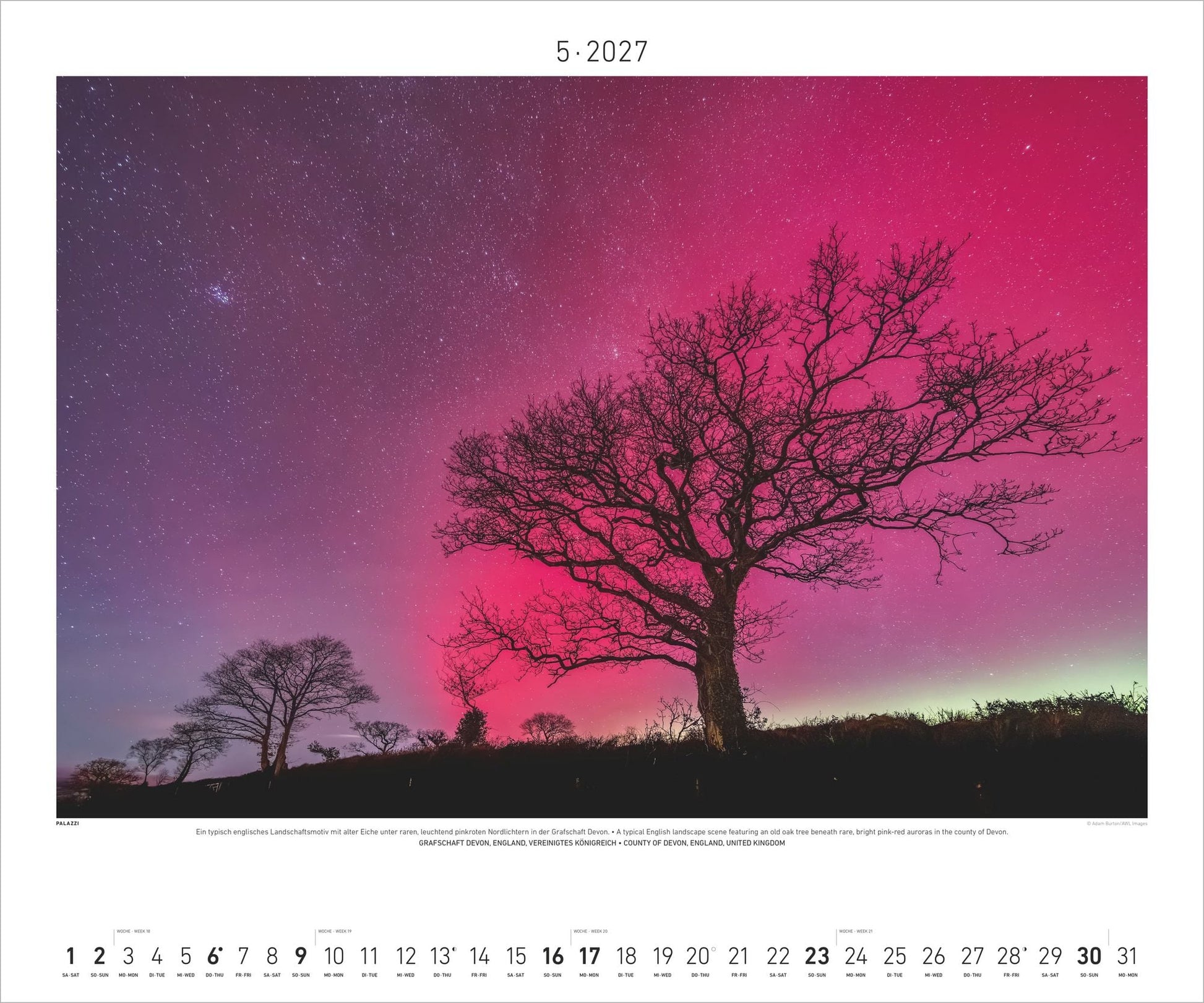 Polarlicht - Wandkalender 2027 - 60 x 50 cm - Palazzi Verlag