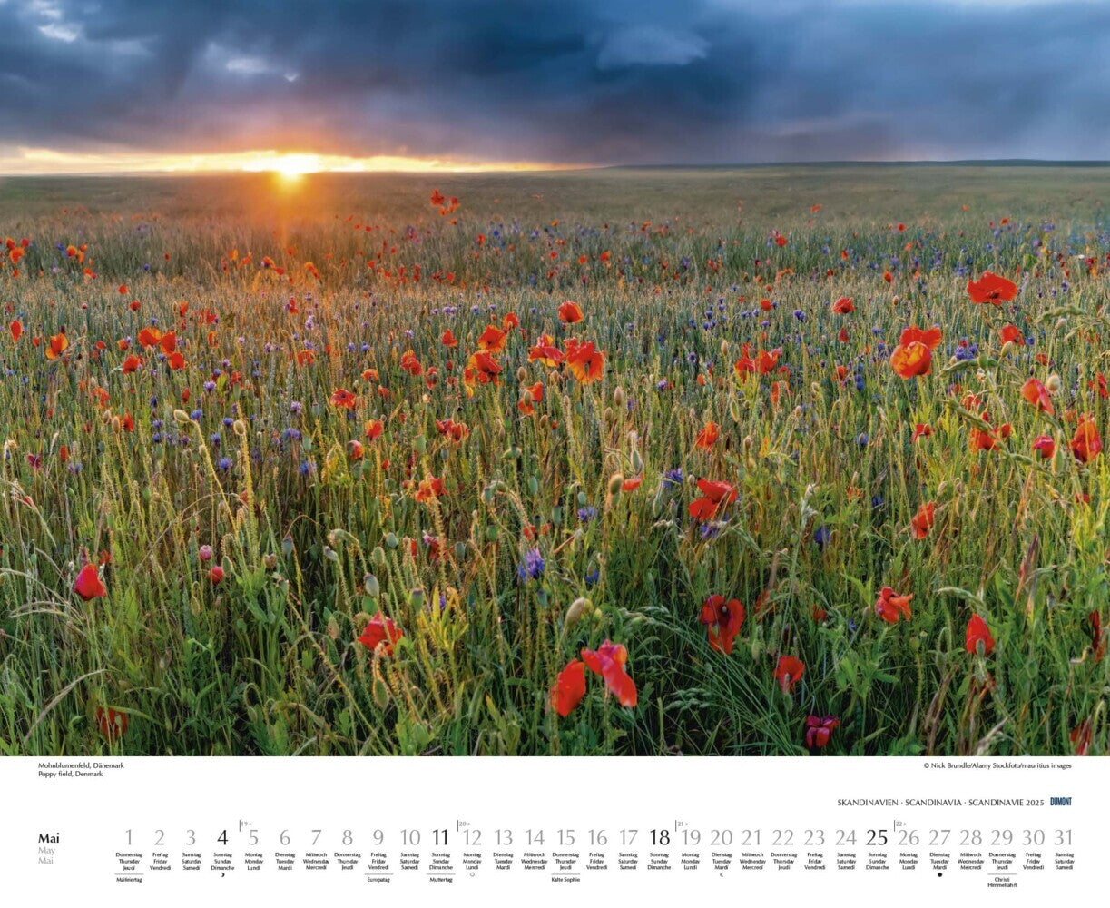 Schönheit des Nordens - Wandkalender 2025 - 52 x 43 cm - DuMont Verlag