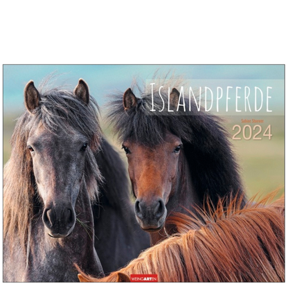 Islandpferde - Wandkalender 2024 - 44 x 34 cm - Kunstverlag Weingarten