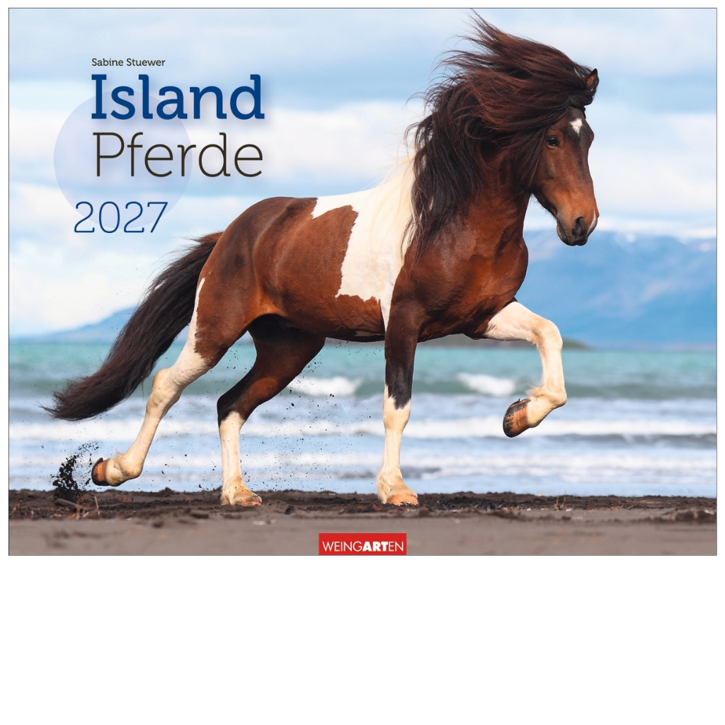 Islandpferde - Wandkalender 2027 - 44 x 34 cm - Kunstverlag Weingarten