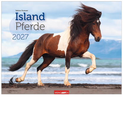 Islandpferde - Wandkalender 2027 - 44 x 34 cm - Kunstverlag Weingarten