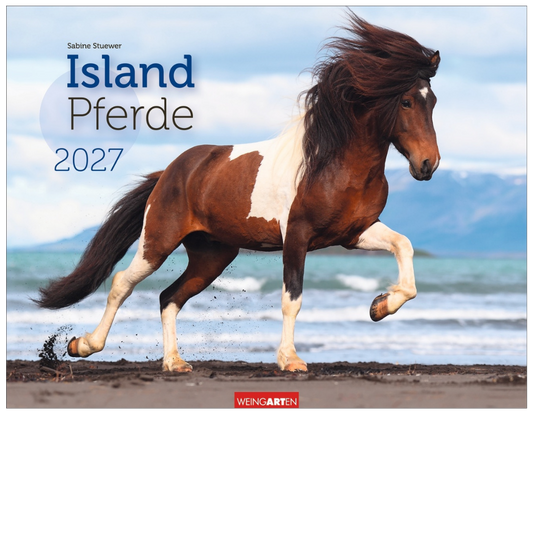 Islandpferde - Wandkalender 2027 - 44 x 34 cm - Kunstverlag Weingarten