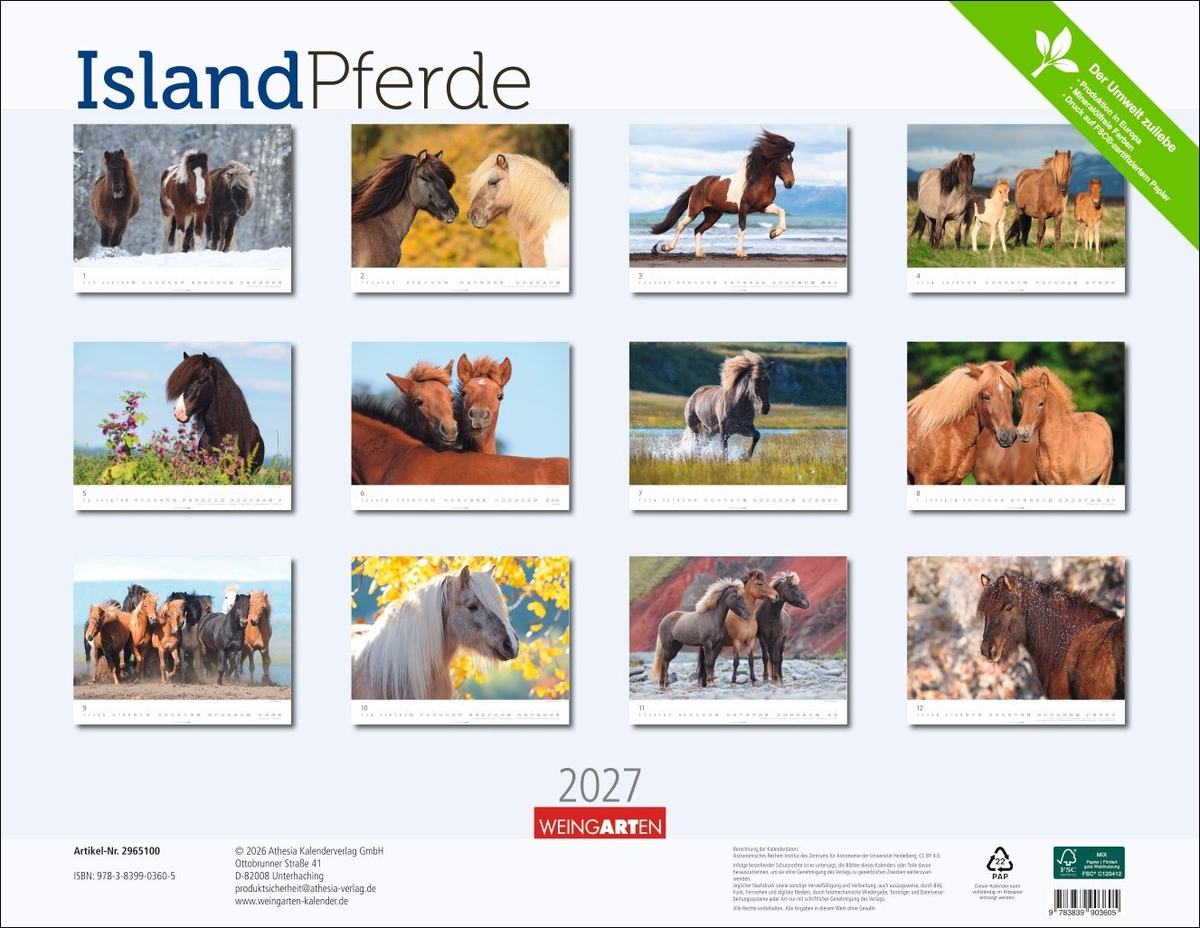 Islandpferde - Wandkalender 2027 - 44 x 34 cm - Kunstverlag Weingarten
