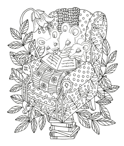 Im Feenreich. Ein Ausmalbuch.