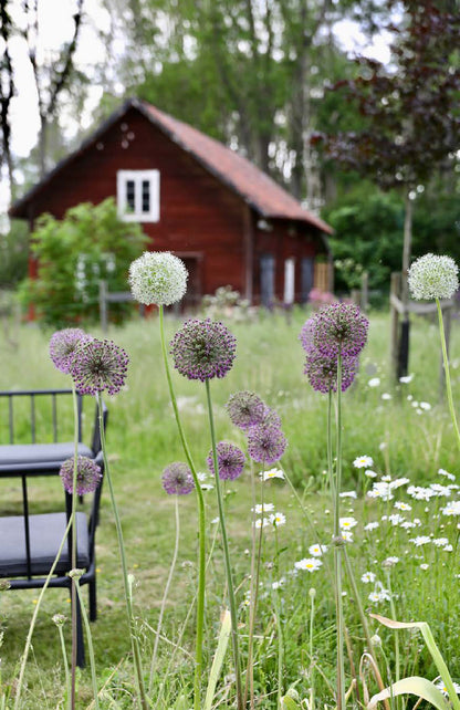 Kleine Umwege, große Erlebnisse. Eine Reise zu verborgenen Traumorten in Skandinavien.