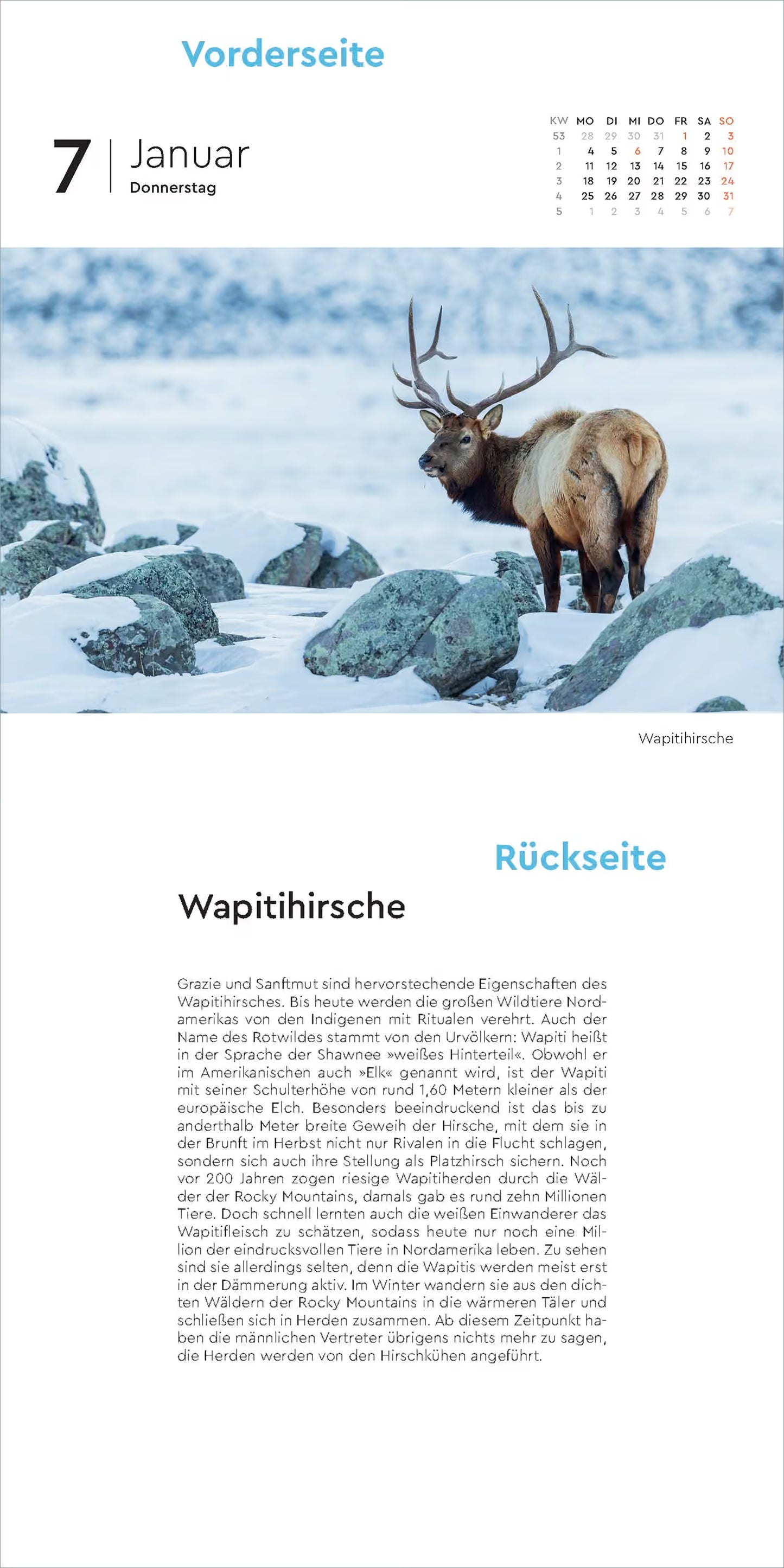 Schönheit des Nordens - 365 Tage Abreißkalender - 2027 - Kunth Verlag