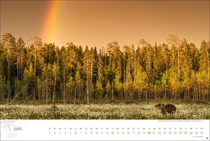 Skandinavien Globetrotter - Wandkalender 2027 - 58 x 39 cm - Heye Verlag