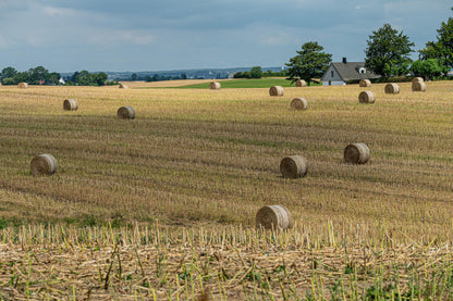Skåne - Rezepte und Geschichten aus Südschweden
