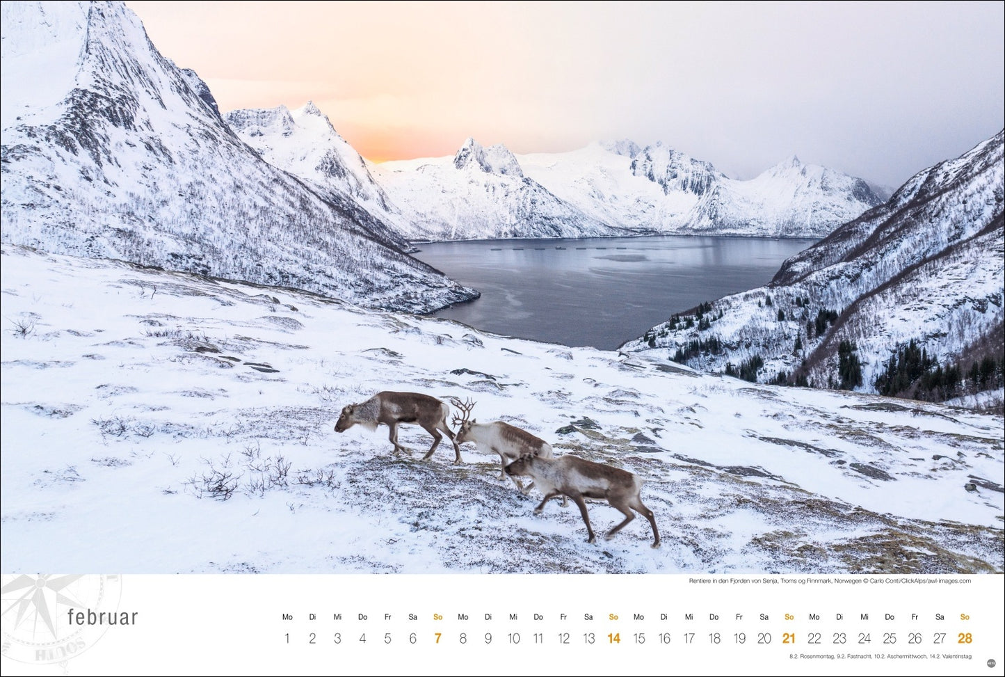 Hurtigruten Globetrotter - Wandkalender 2027 - 58 x 39 cm - Heye Verlag