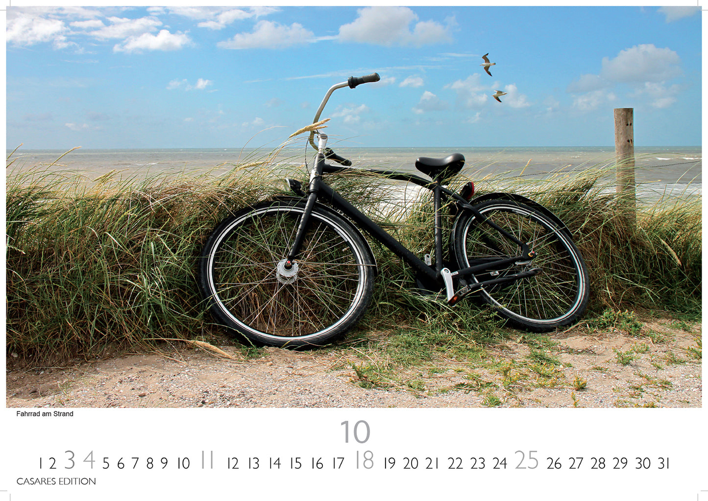 Denmark - Wall Calendar 20256 - 50 x 36 cm - CASARES fine art EDITION