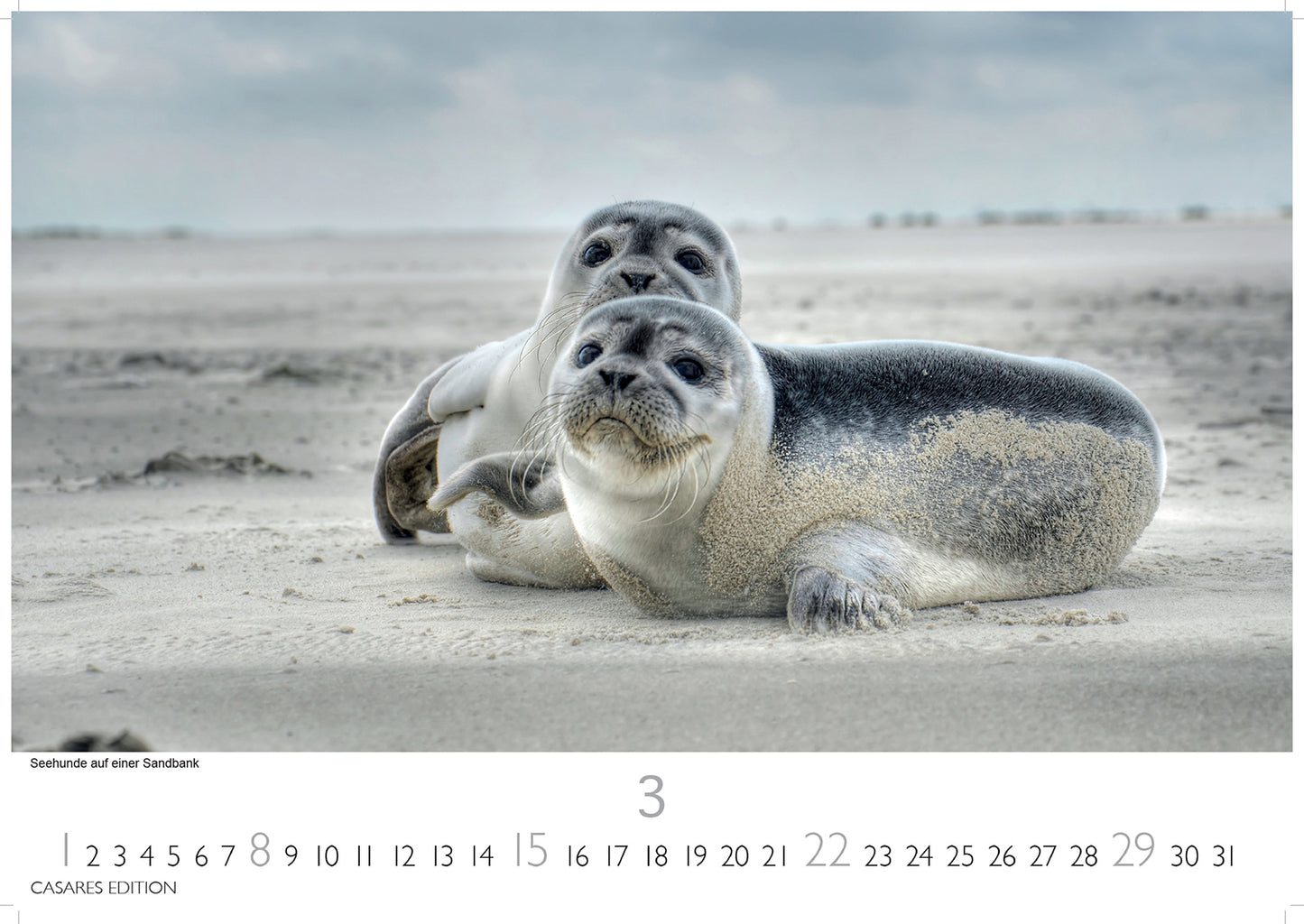 Denmark - Wall Calendar 20256 - 50 x 36 cm - CASARES fine art EDITION