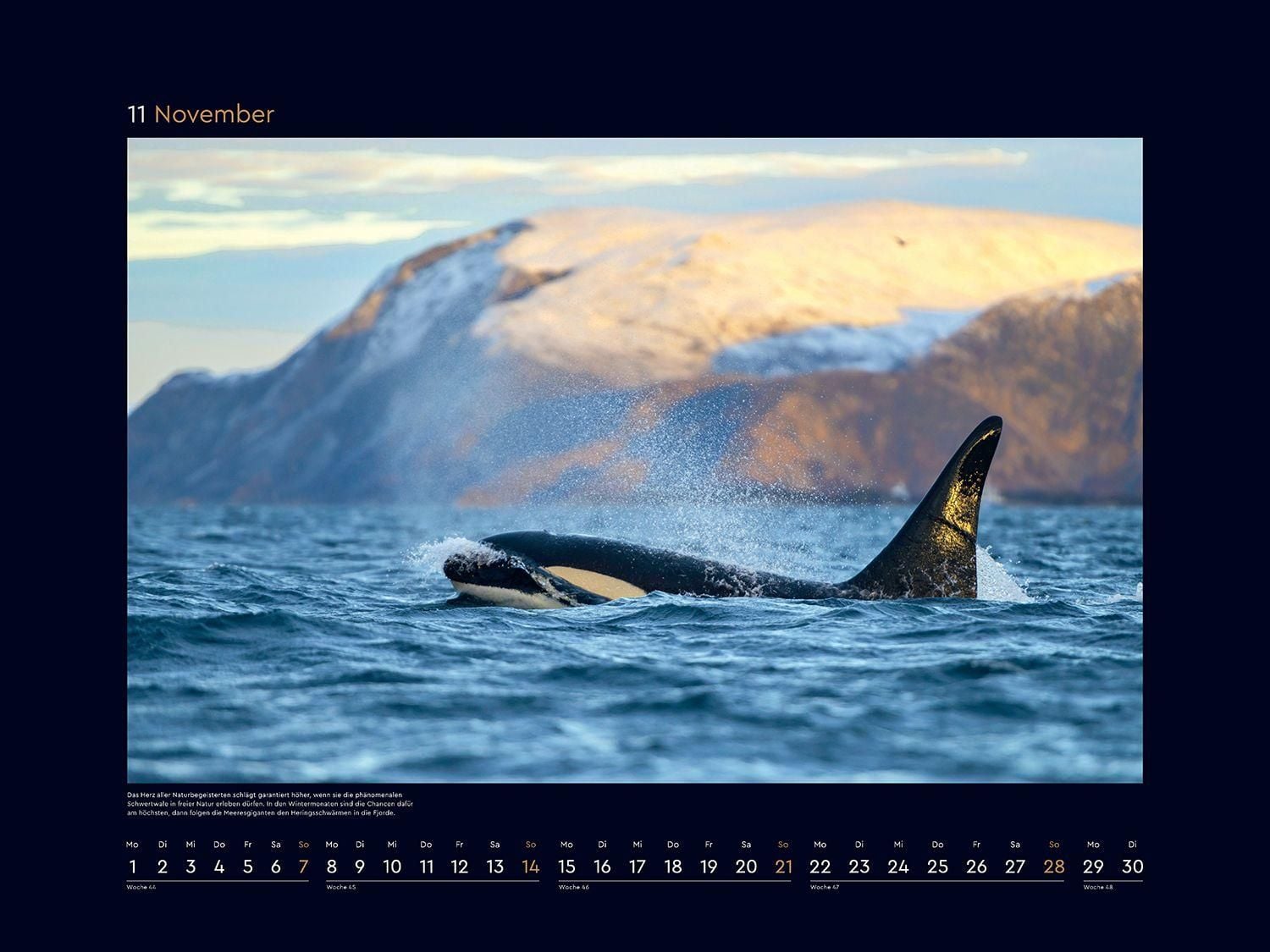 Hurtigruten - Wandkalender 2027 - 60 x 45 cm - Kunth Verlag
