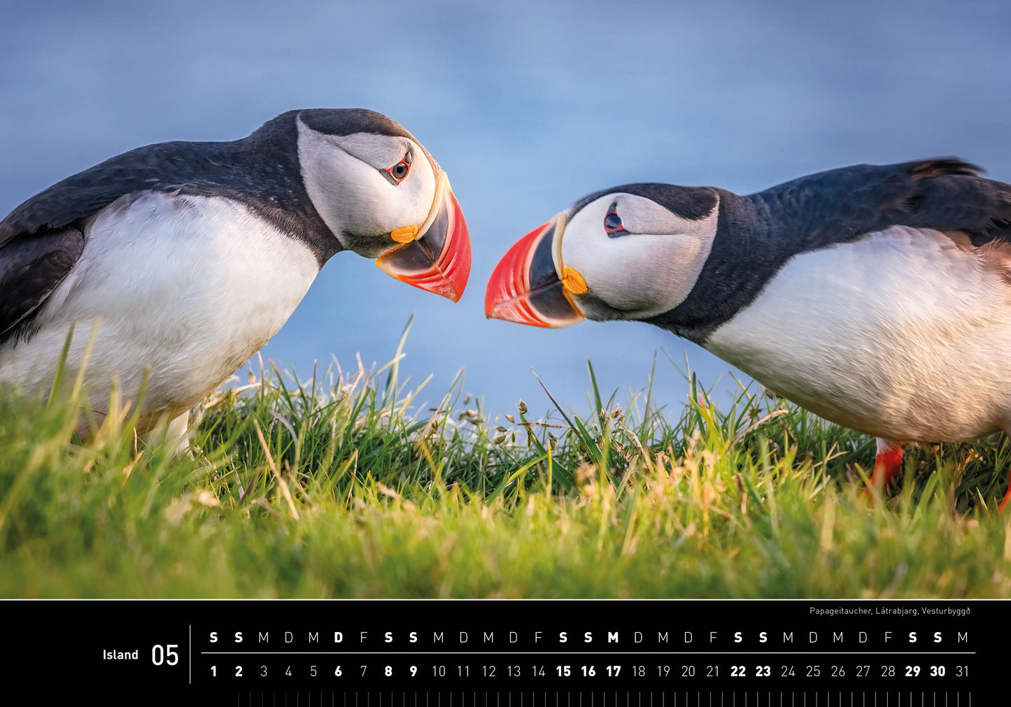 Island - 360° Premium-Wandkalender 2027 - 50 x 35 cm - 360Grad Medien
