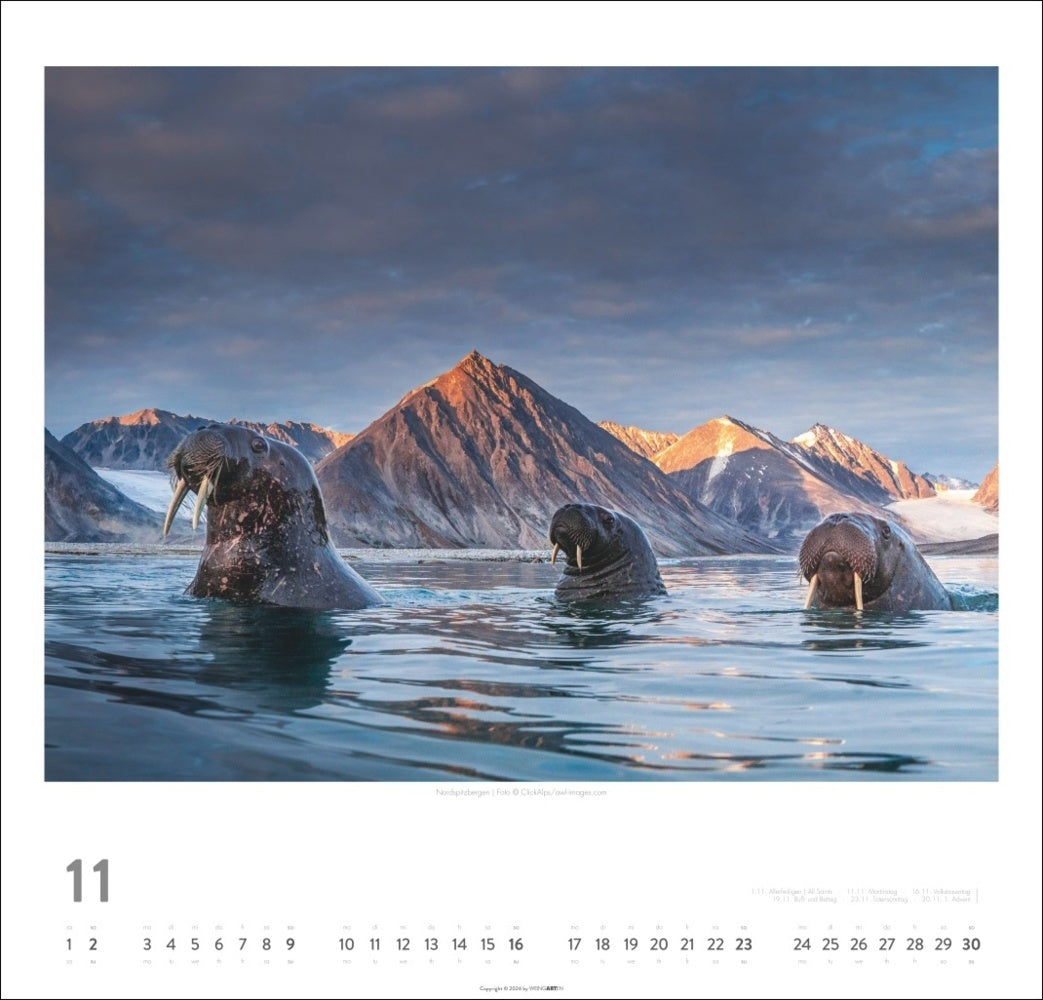 Norwegen - Wandkalender 2025 - 48 x 46 cm - Kunstverlag Weingarten