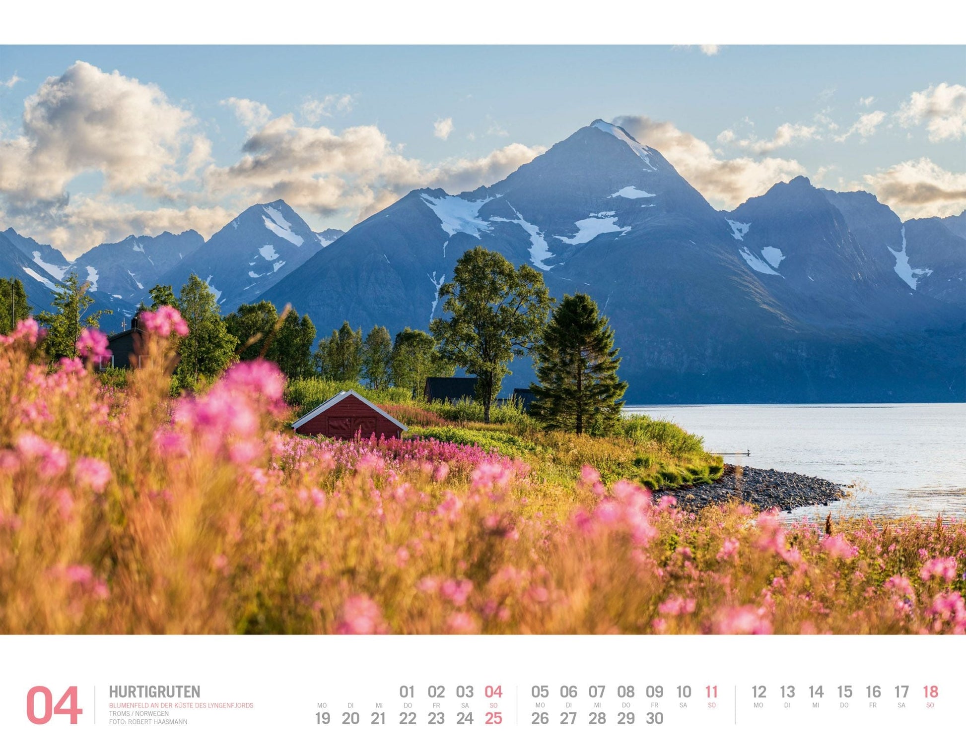 Hurtigruten - Wandkalender 2027 - 54 x 42 cm - Ackermann Kunstverlag