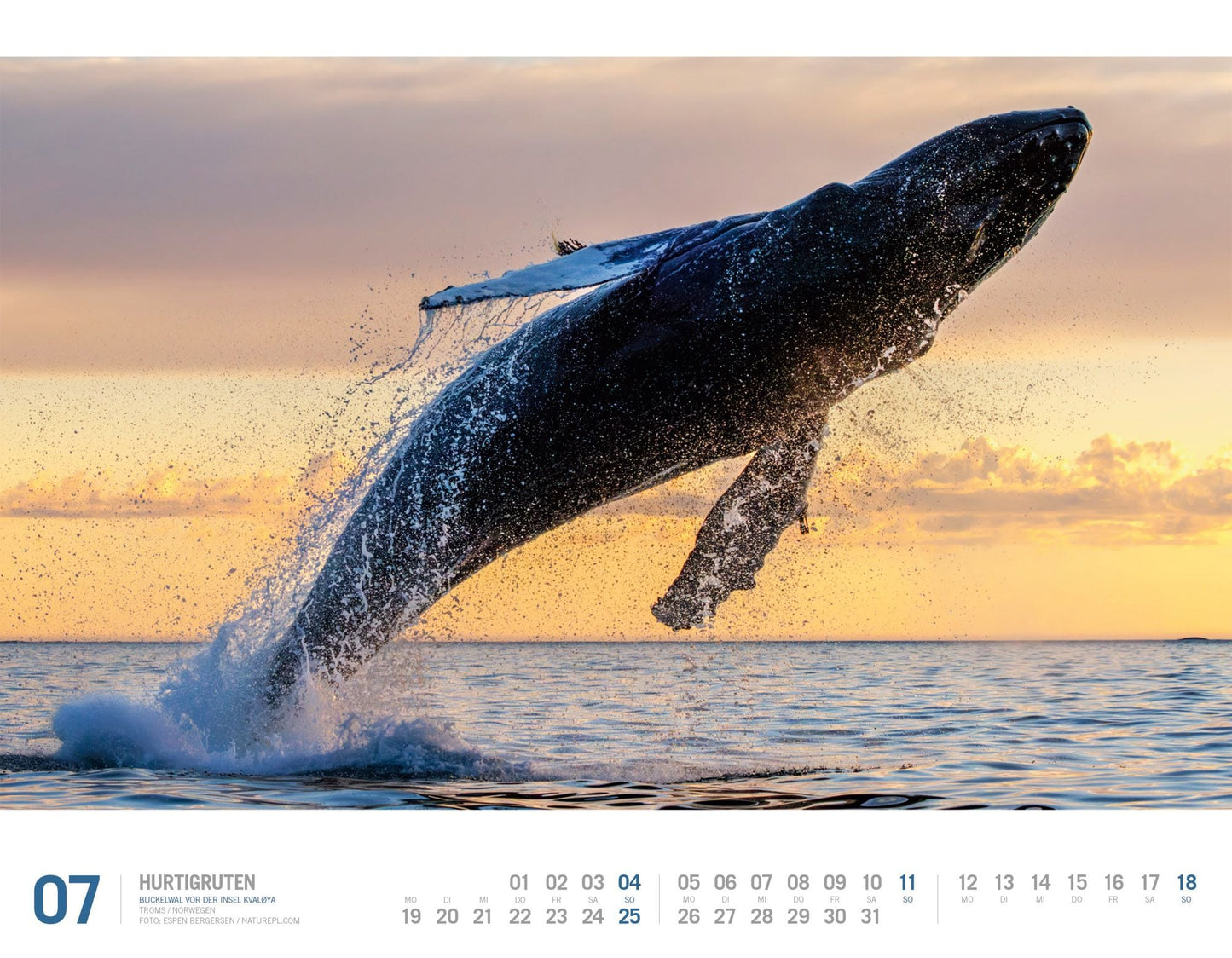 Hurtigruten - Wandkalender 2027 - 54 x 42 cm - Ackermann Kunstverlag