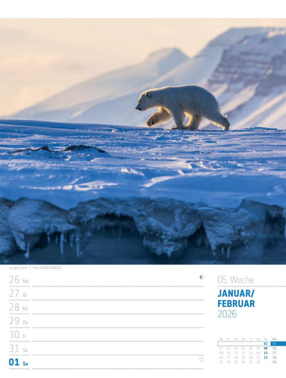 Abenteuer: Skandinavien - Der Zauber des hohen Nordens - Wochenplaner Kalender 2026 - 25 x 33 cm