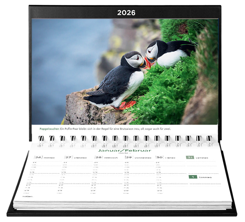 Island - Tischkalender 2026 - 24 x 17 cm - Kunth Verlag
