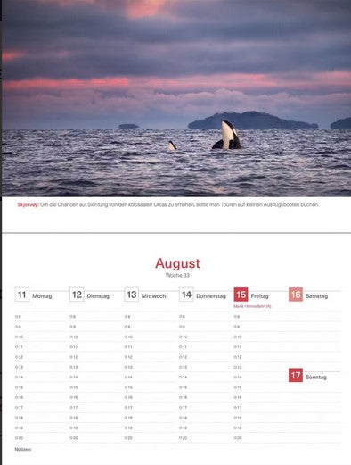 Hurtigruten - Tischkalender 2025 - 24 x 17 cm - Kunth Verlag