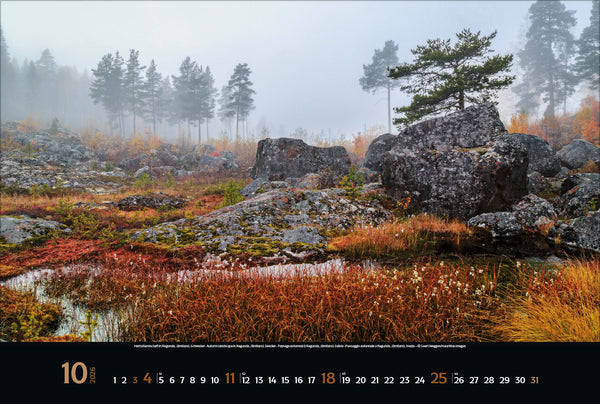Nordic Impressions - Wall Calendar 2026 - 58 x 39 cm - Korsch Verlag