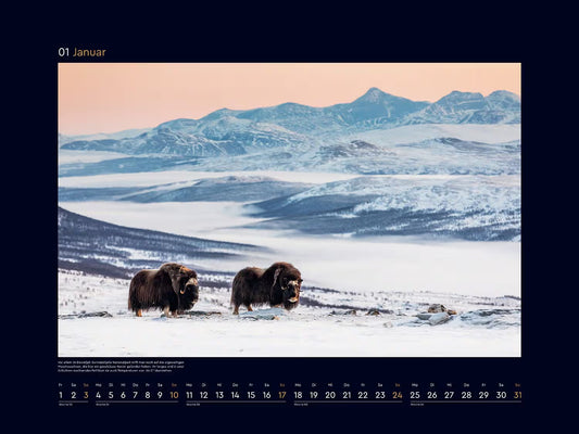 Schönheit des Nordens - Wandkalender 2027 - 60 x 45 cm - Kunth Verlag