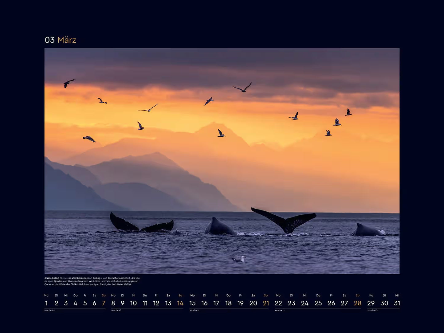 Beauty of the North - Wall Calendar 2025 - 60 x 45 cm - Kunth Verlag