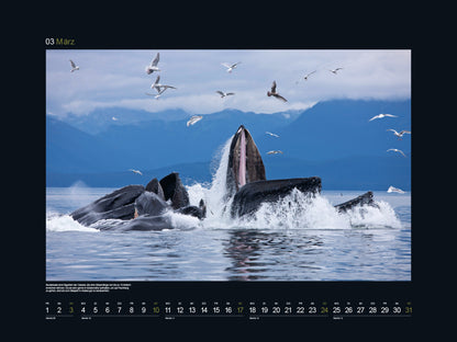 Schönheit des Nordens - Wandkalender 2024 - 60 x 45 cm - Kunth Verlag