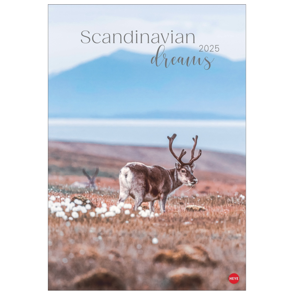 Scandinavian Dreams - Poster-Wandkalender 2025 - 38 x 54 cm - Heye Verlag