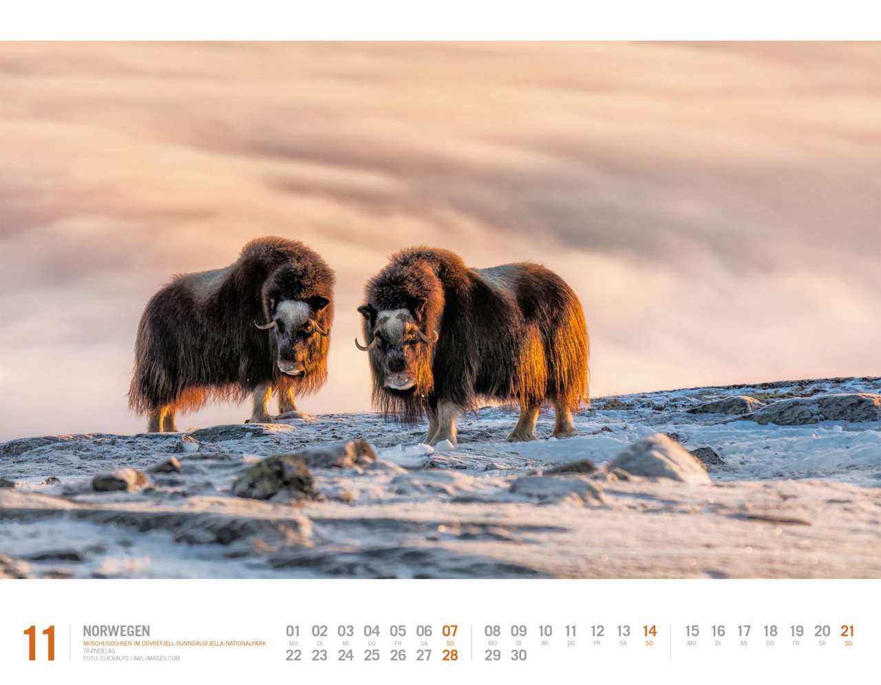 Norwegen - Wandkalender 2027 - 54 x 42 cm - Ackermann Kunstverlag