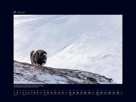 Norwegen - Wandkalender 2027 - 60 x 45 cm - Kunth Verlag