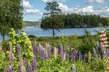 Norwegen - Bahnreisen durchs Land der Fjorde