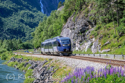 Norwegen - Bahnreisen durchs Land der Fjorde