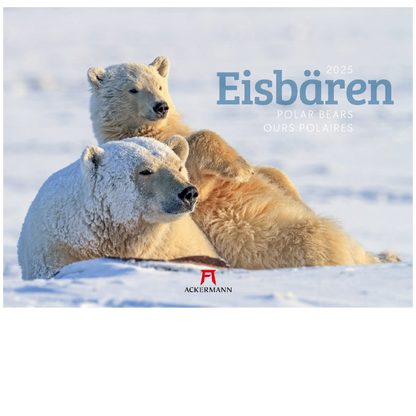 Eisbären - Wandkalender 2025 - 45 x 33 cm - Ackermann Kunstverlag