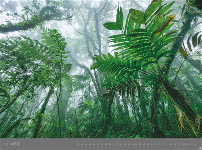 Die letzten Paradiese - Wandkalender 2027 - Heye 