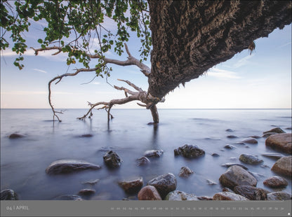 Die letzten Paradiese - Wandkalender 2027 - Heye 