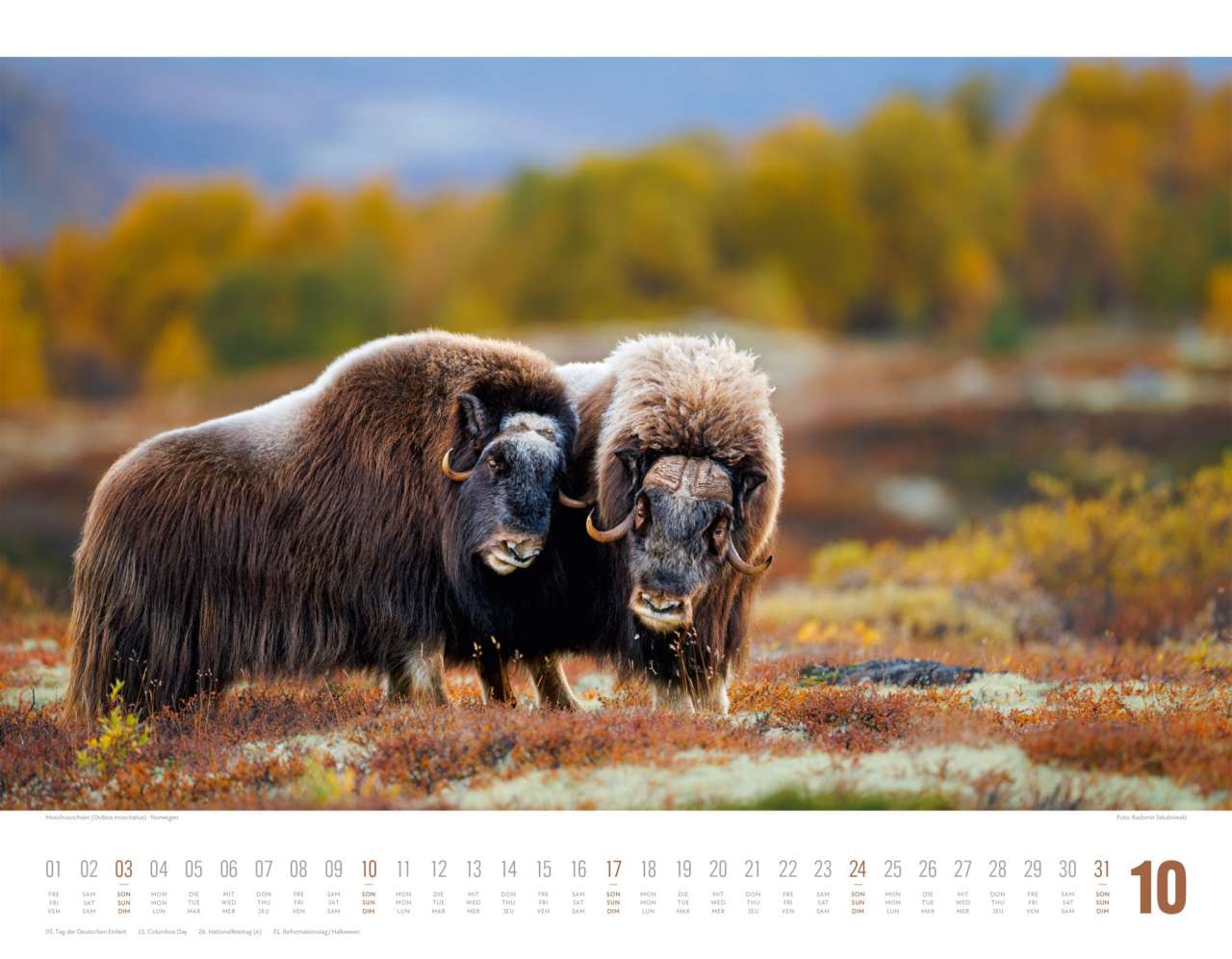 Tierwelt Skandinavien