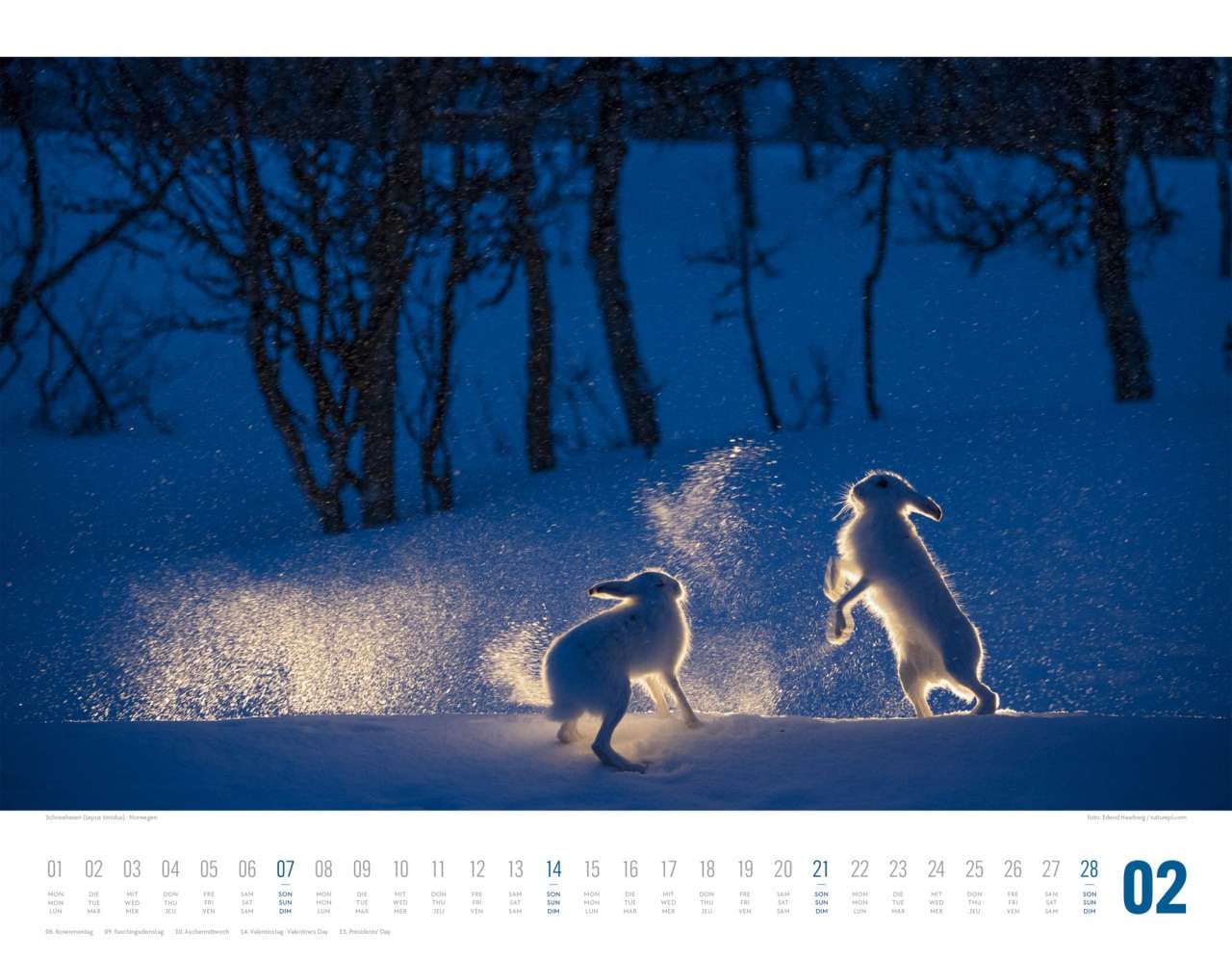 Tierwelt Skandinavien