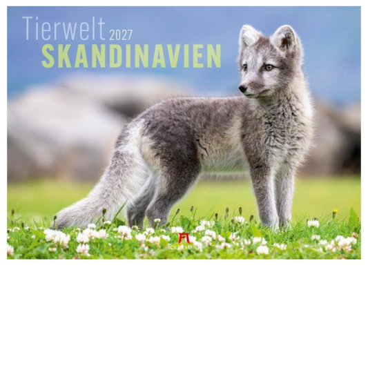 Tierwelt Skandinavien - Foto-Wand-Kalender - 2027 - 54 x 42 cm