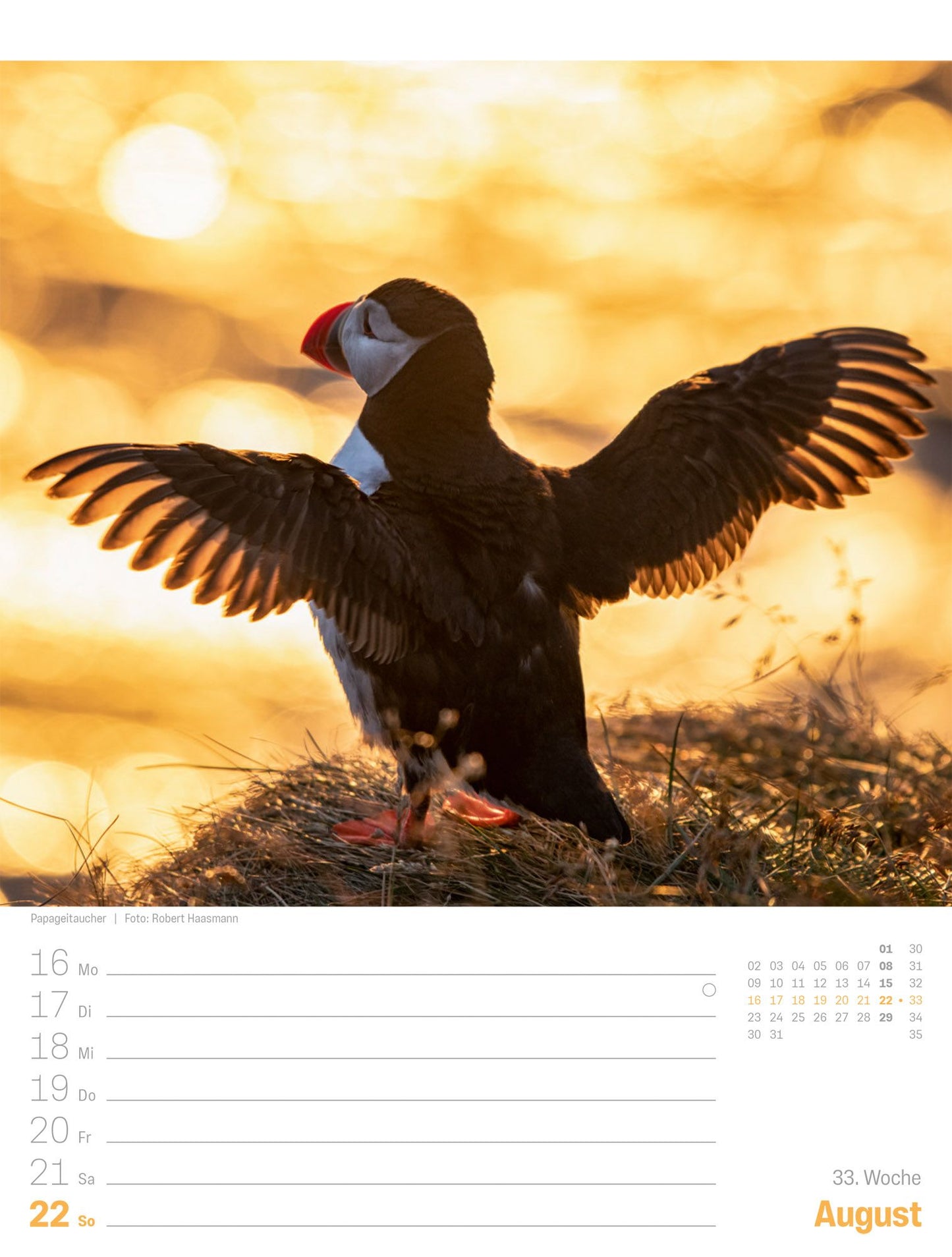 Island - Die Insel aus Feuer und Eis - Wochenplaner Kalender 2027 - 25 x 33 cm