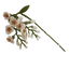 Weiße Glyzinien - Wollfilz - handgearbeitet